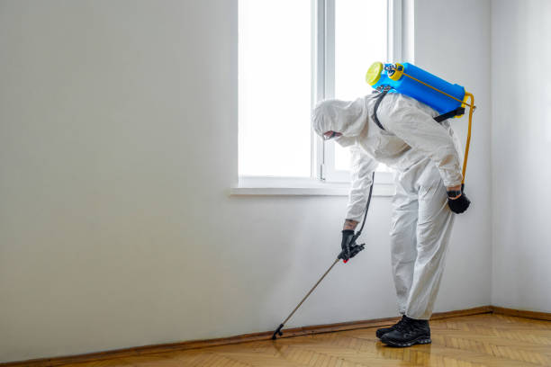 Real Estate Pest Inspections in Bedford, TX